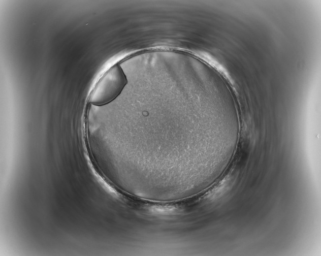 X0000087051239200705021150