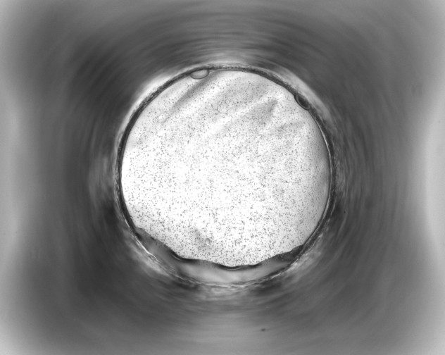 X0000087051240200705021150