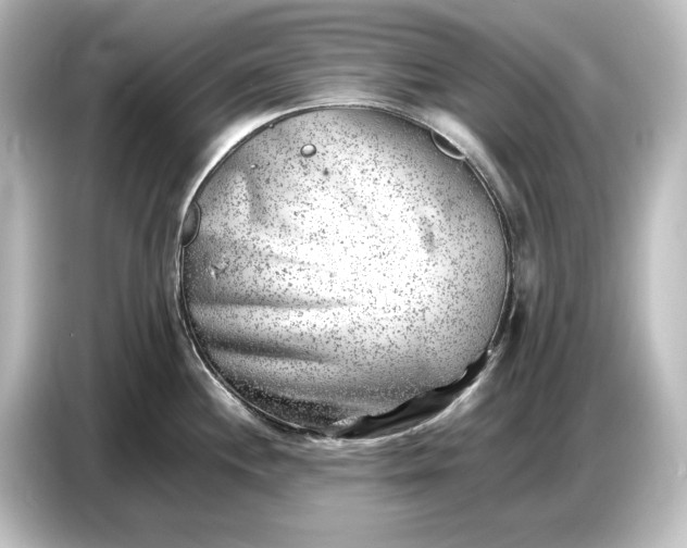 X0000087051244200705021150