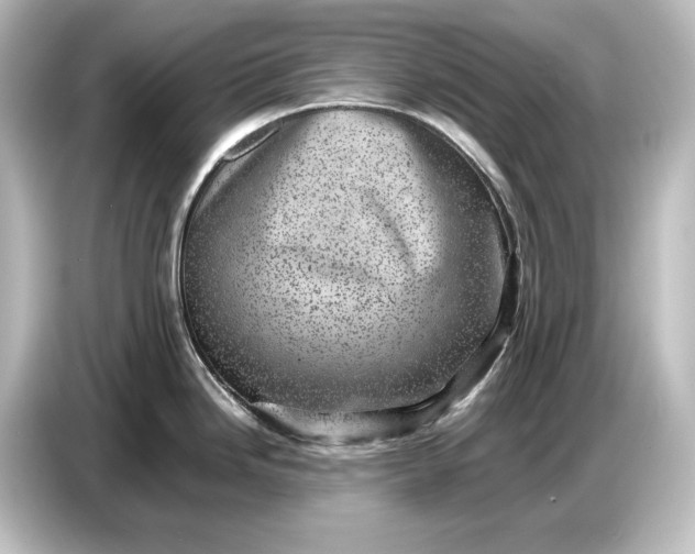 X0000087051246200705021150