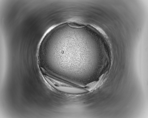 X0000087051248200705021150