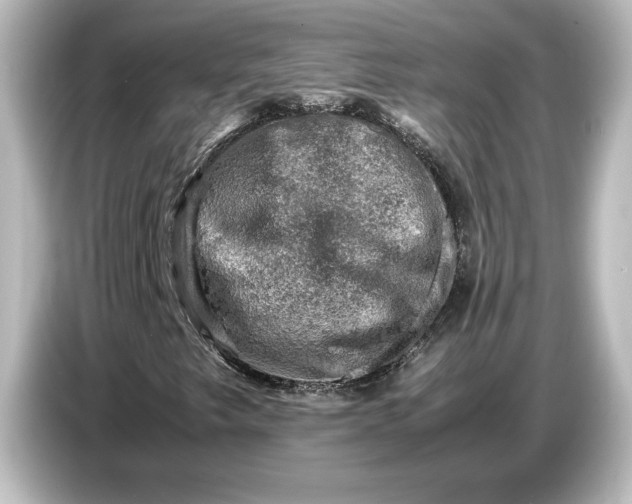 X0000087051249200705021149