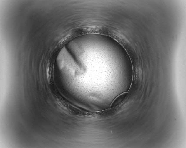 X0000087051250200705021149