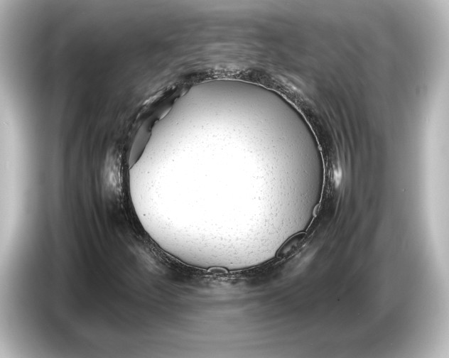 X0000087051252200705021149