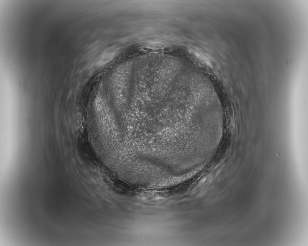 X0000087051253200705021149