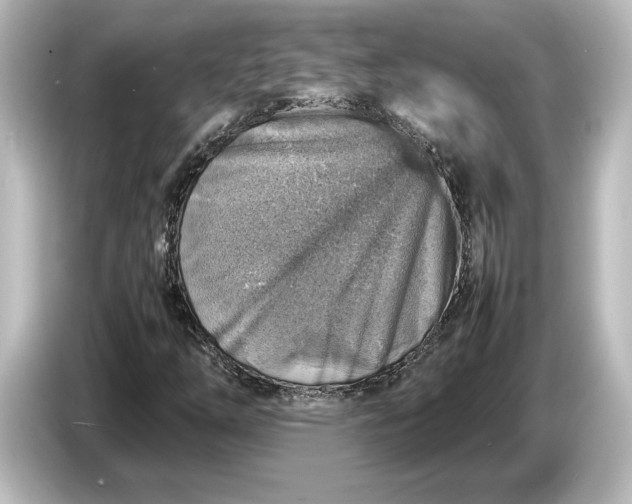 X0000087051254200705021149