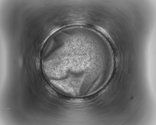 X0000087051260200705021149