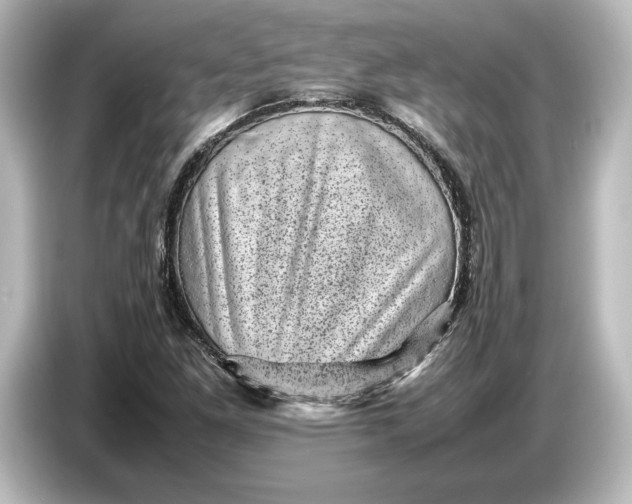 X0000087051261200705021149