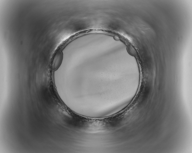 X0000087051263200705021149