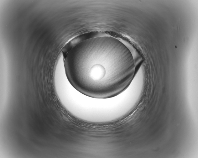 X0000087051265200705021149