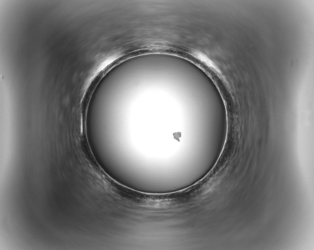 X0000087051269200705021149