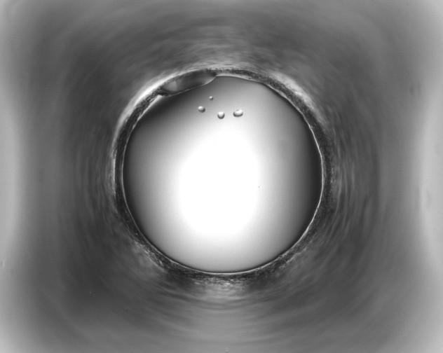 X0000087051270200705021149