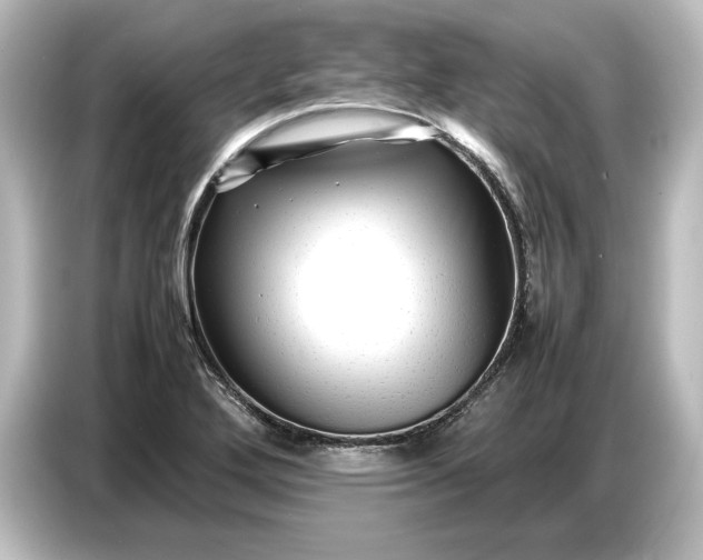 X0000087051272200705021149