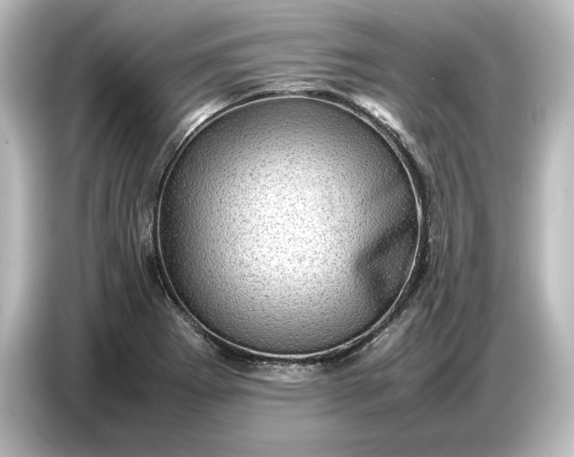 X0000087051273200705021149