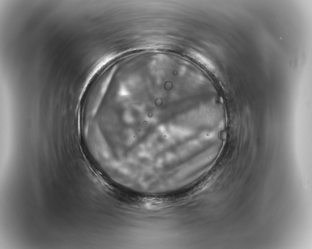 X0000087051275200705021149