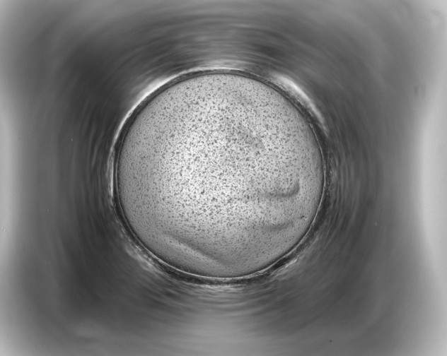 X0000087051276200705021149