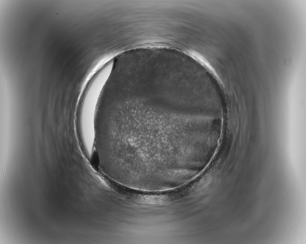 X0000087051277200705021149