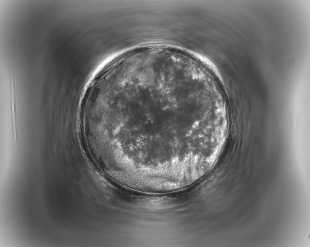 X0000087051279200705021149