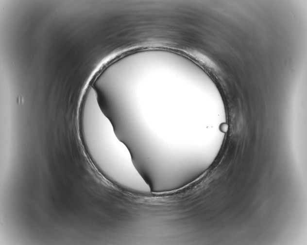 X0000087051280200705021149