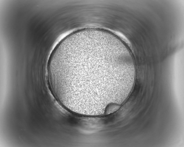 X0000087051287200705021149