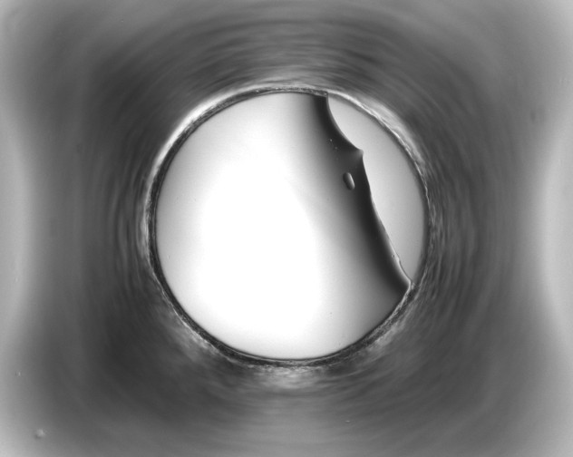 X0000087051288200705021149