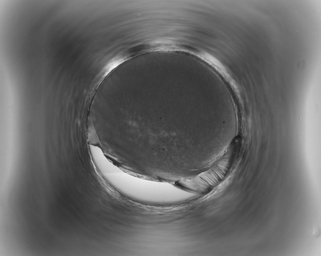 X0000087051289200705021149