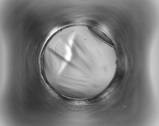 X0000087051291200705021149