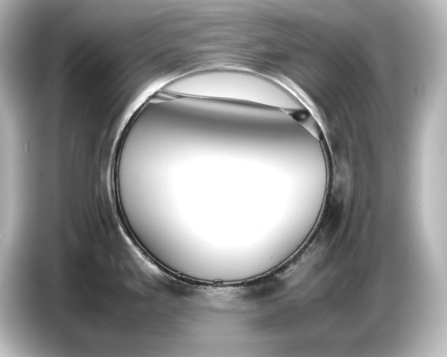 X0000087051293200705021149