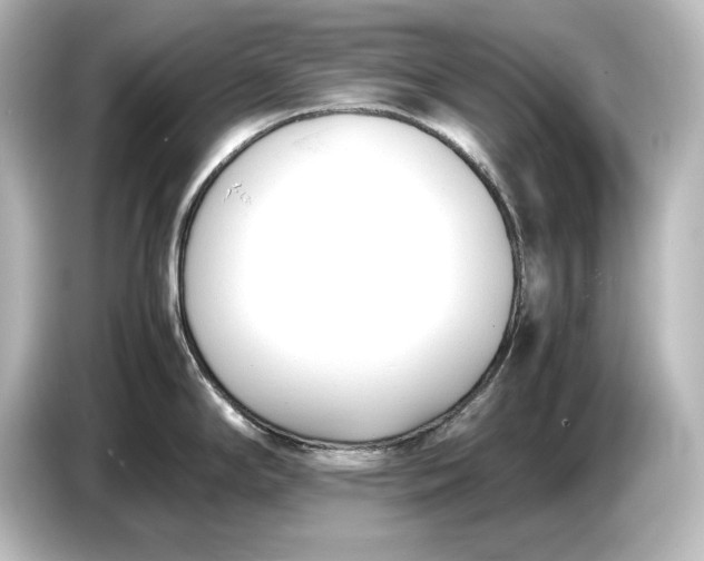 X0000087051294200705021149