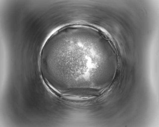 X0000087051295200705021149