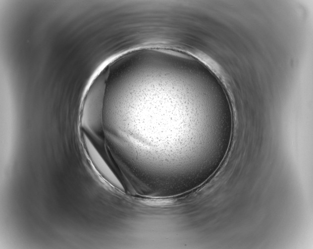 X0000087051296200705021149