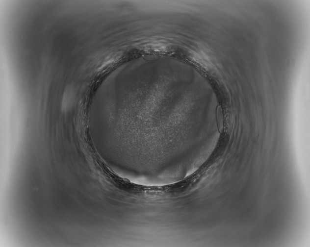 X0000087051297200705021148