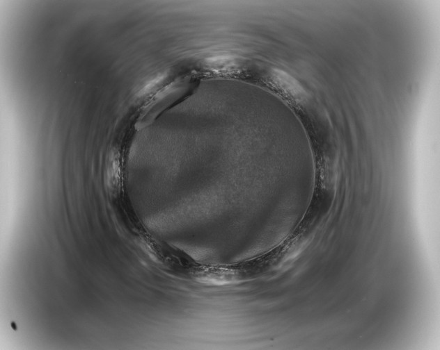 X0000087051298200705021148