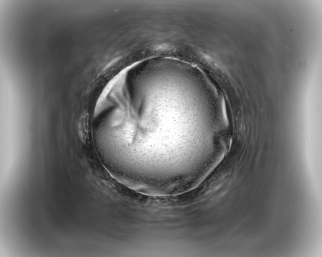 X0000087051301200705021148