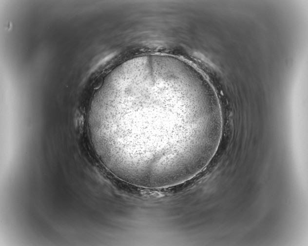 X0000087051302200705021148