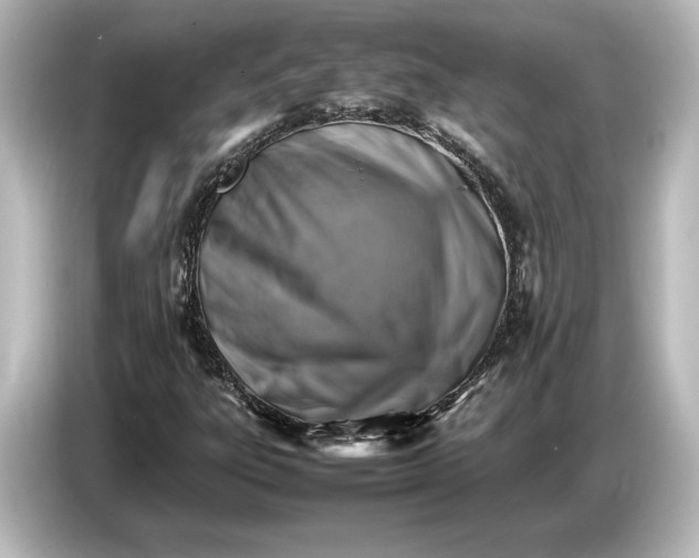 X0000087051303200705021148