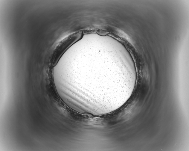 X0000087051304200705021148