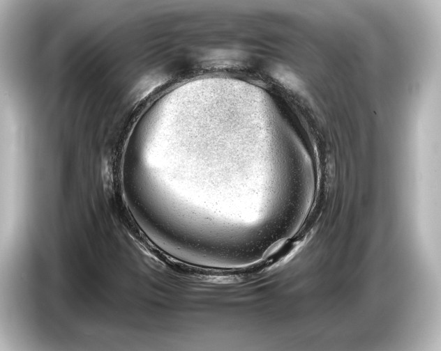 X0000087051305200705021148