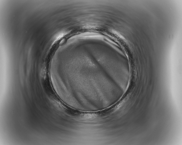 X0000087051306200705021148