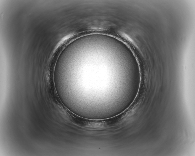 X0000087051307200705021148