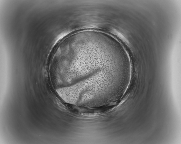 X0000087051308200705021148