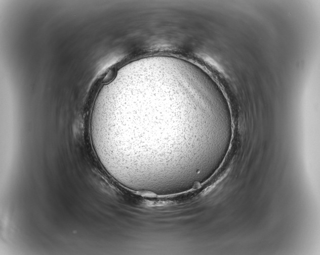 X0000087051309200705021148