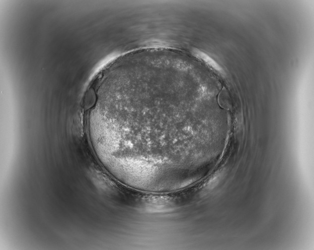 X0000087051310200705021148