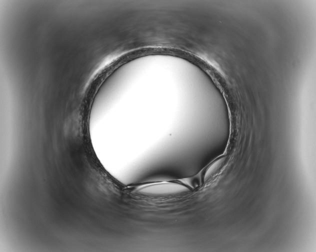 X0000087051311200705021148