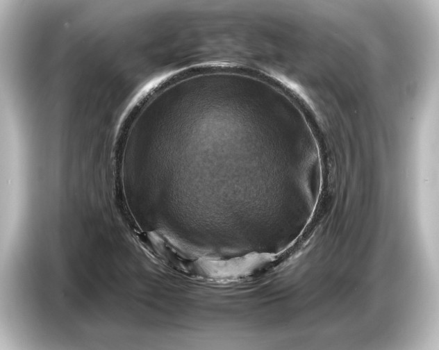 X0000087051319200705021149