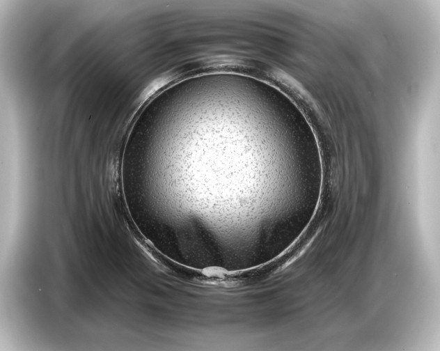 X0000087051321200705021149