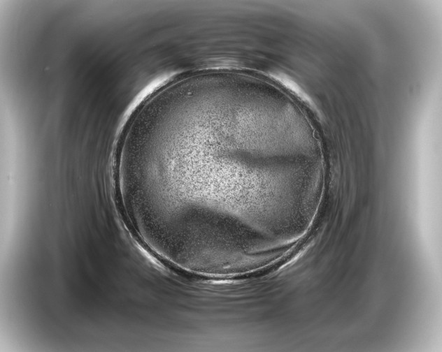 X0000087051325200705021149