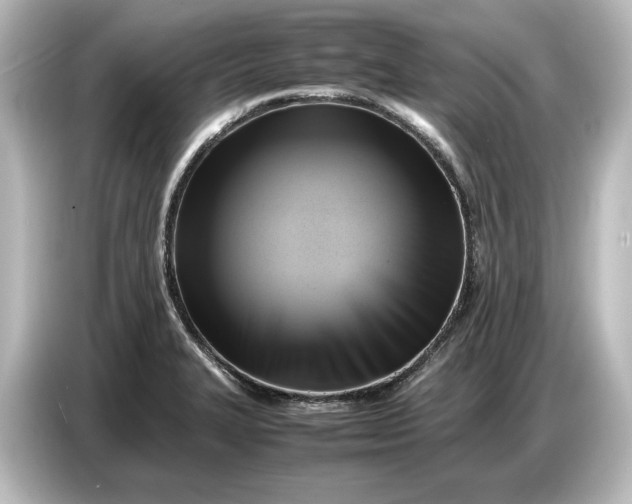 X0000087051327200705021149