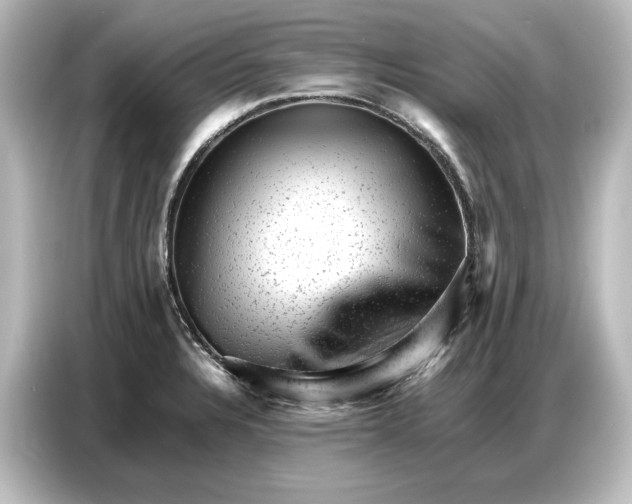 X0000087051328200705021149