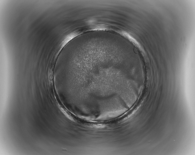 X0000087051329200705021149